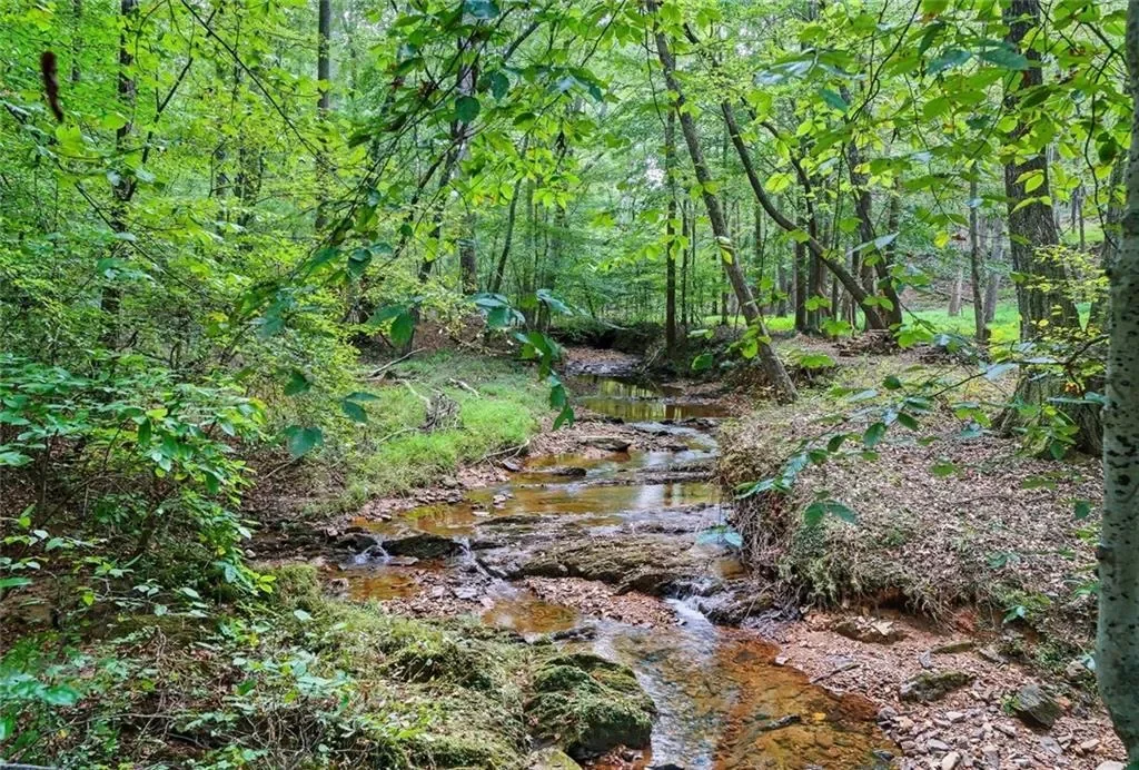 857 Jack Page Drive, Canton, Georgia, United States. - Photo 1