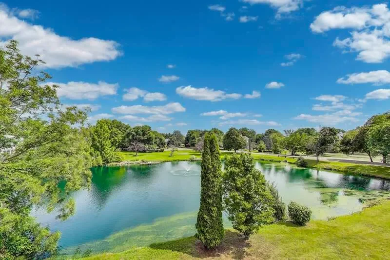 45 Willow Bay Drive, South Barrington, IL, 60010, USA, Barrington Hills, Illinois, United States. - Photo 41