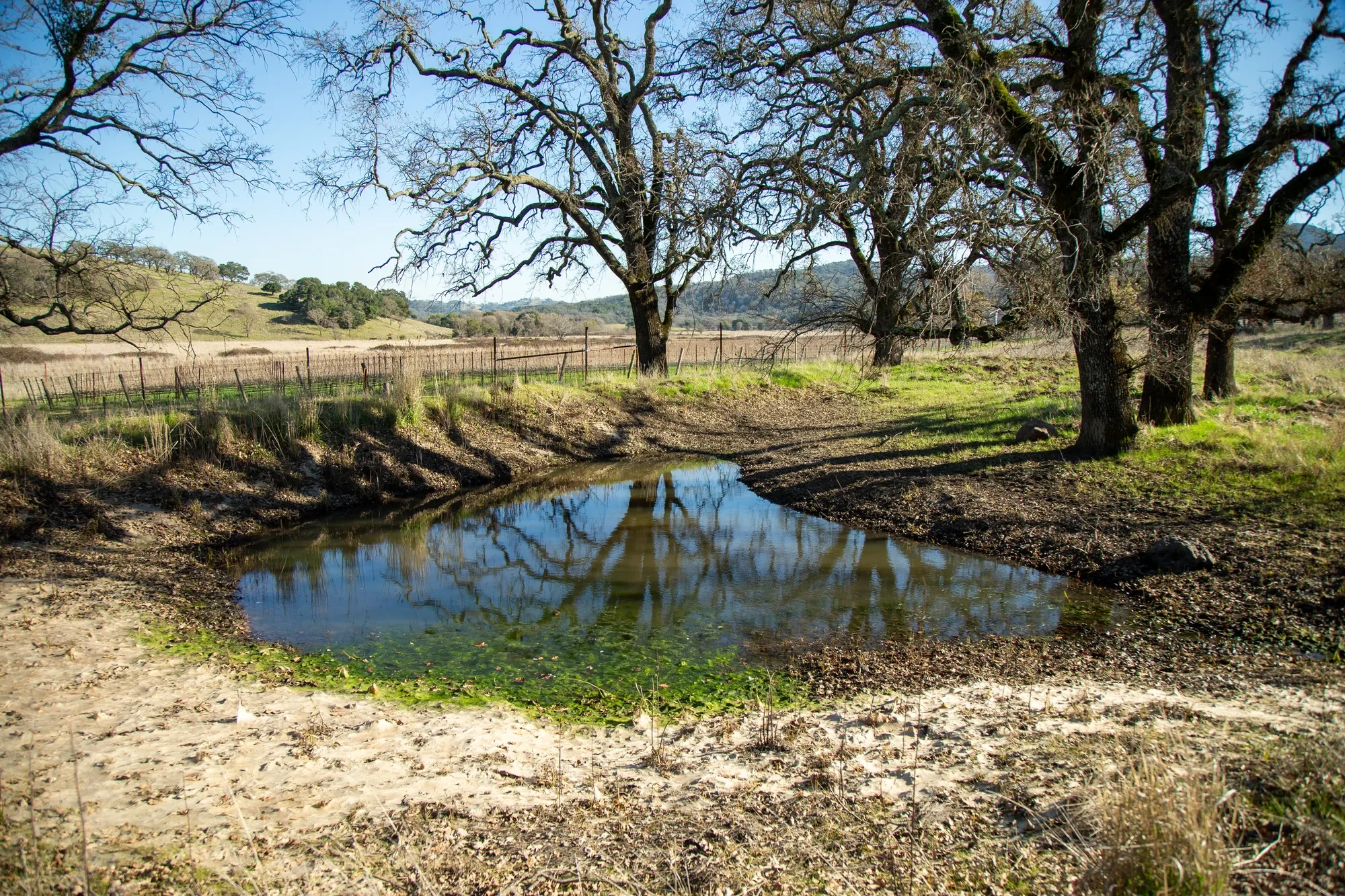 3576 Monticello Road , Napa, CA 94558, Napa, California, United States. - Photo 20