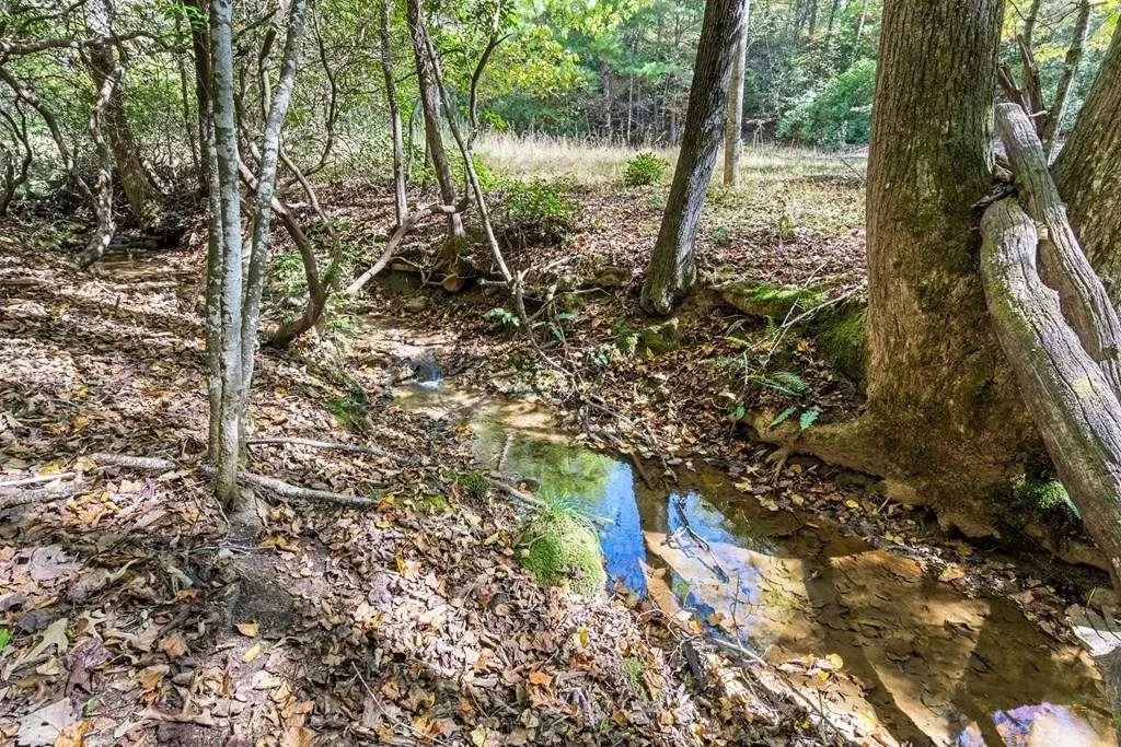 217 Goldmine Road, Morganton, United States. - Photo 38