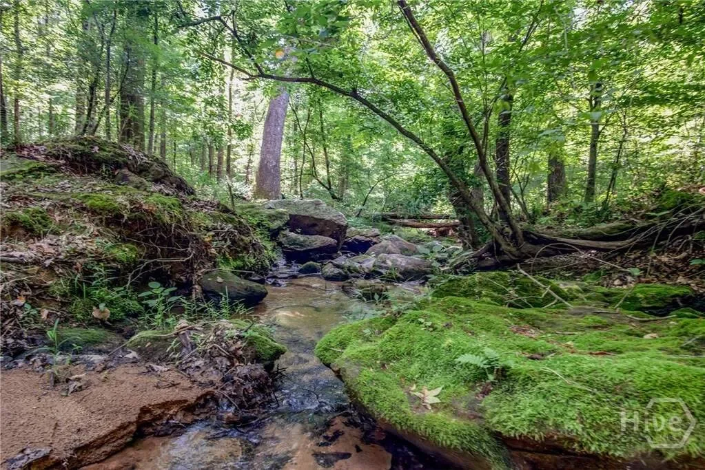 Madison, Georgia, United States. - Photo 14