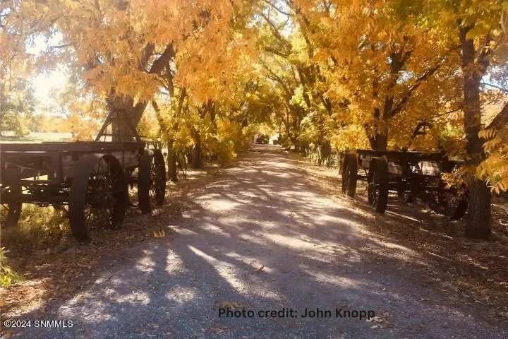 2090 Snow Road, Mesilla, NM 88046, Mesilla, New Mexico, United States. - Photo 50
