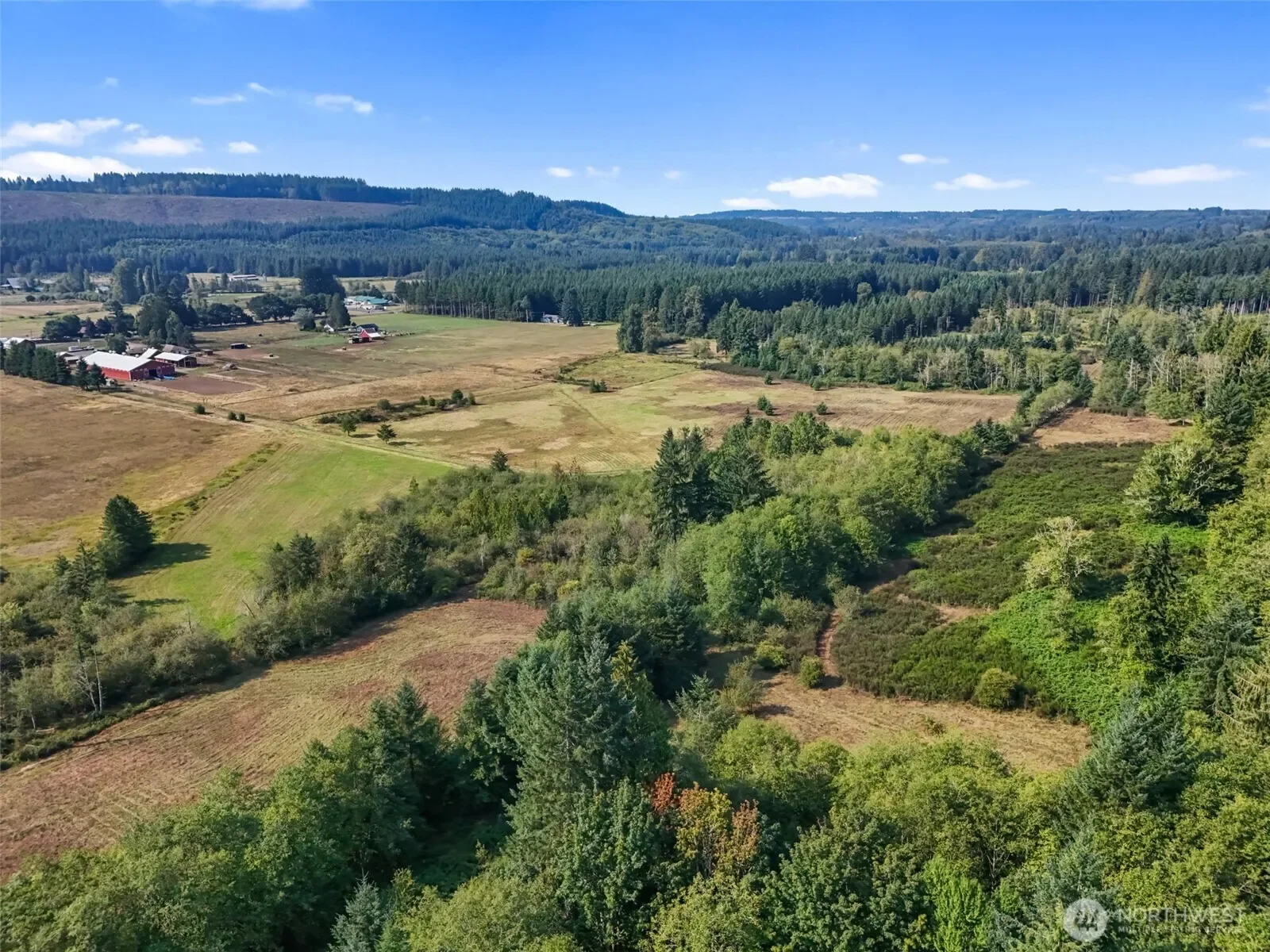 104 Bills Lane, Onalaska, WA 98570, Onalaska, Washington, United States. - Photo 6