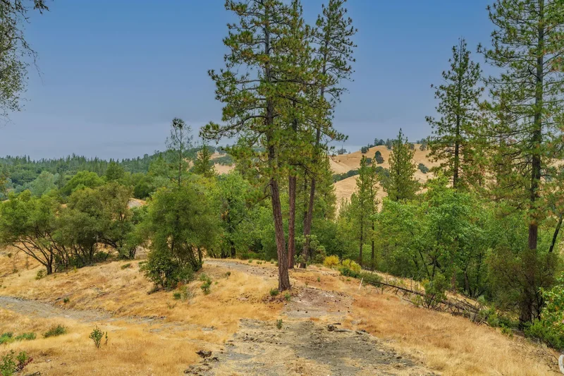 13080 Twin Pines , Sutter Creek, CA 95685, Sutter Creek, California, United States. - Photo 84