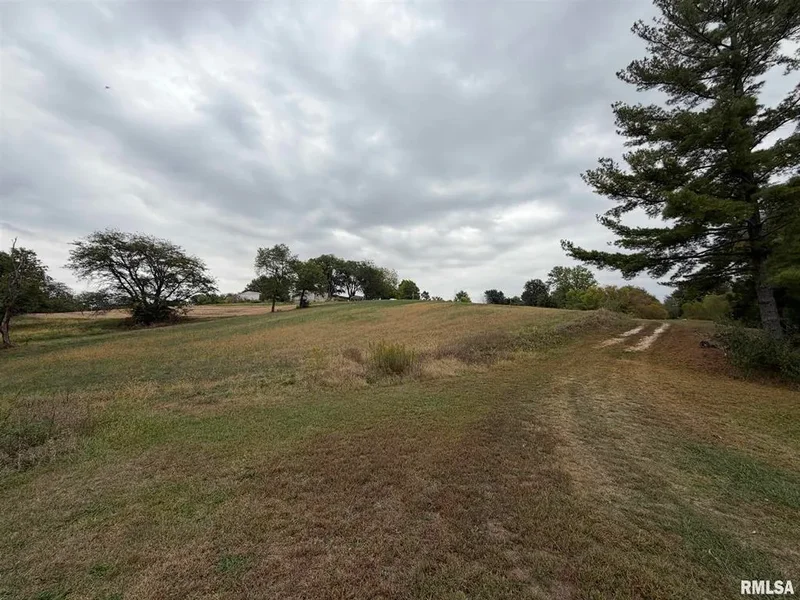 1196 160th Street, Abingdon, IL 61410, Abingdon, Illinois, United States. - Photo 45