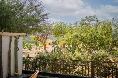 Thumbnail 33