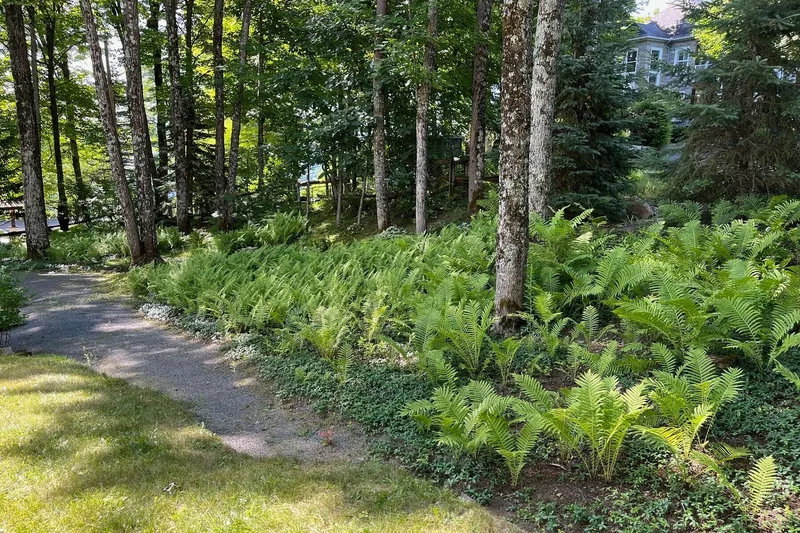 26 Ch. des Tilleuls, Saint-Sauveur, Quebec, QC J0R1R7, Saint-Sauveur, Quebec, Canada. - Photo 18