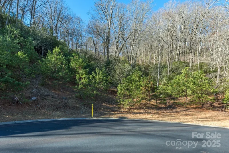 9999 Mayfly Lane 106, Horse Shoe, North Carolina, United States. - Photo 8