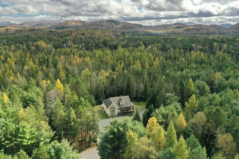 145 Ch. Jean-Robert, Mont-Tremblant, Quebec, Canada. - Photo 49