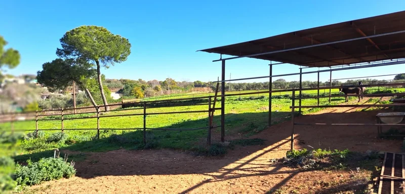 Sevilla, Mairena del Alcor, SEVILLA, Mairena del Alcor, Mairena del Alcor, Andalusia, Spain. - Photo 17