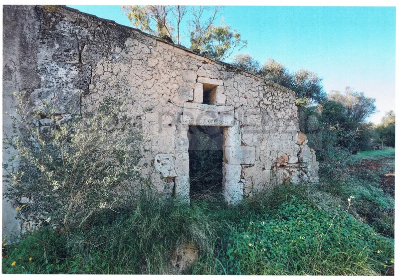 Felanitx, Balearic Islands, Spain. - Photo 7