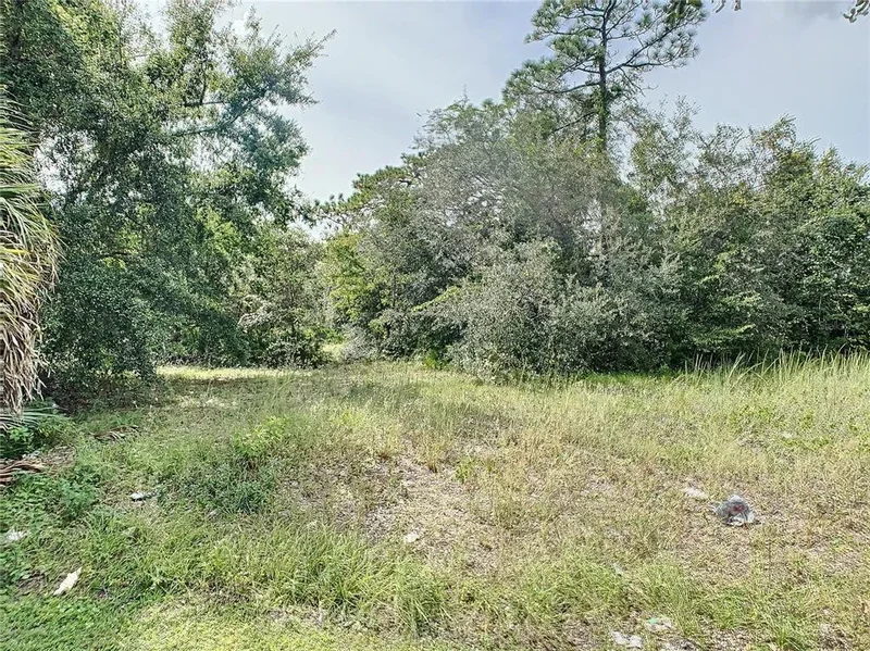 0 N John Young Parkway, Kissimmee, FL 34741, Kissimmee, Florida, United States. - Photo 2