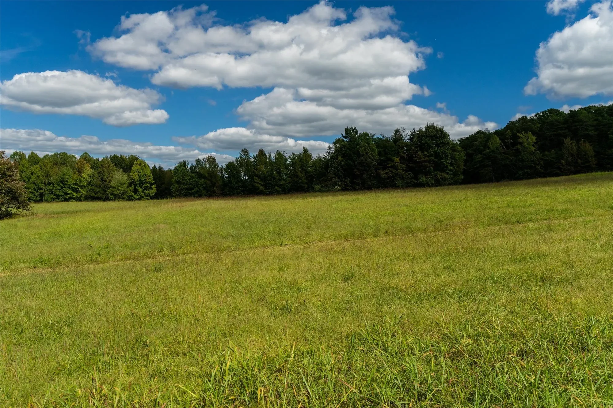 884 Pleasant Gap Drive, Dry Fork, VA 24549, Dry Fork, Virginia, United States. - Photo 56