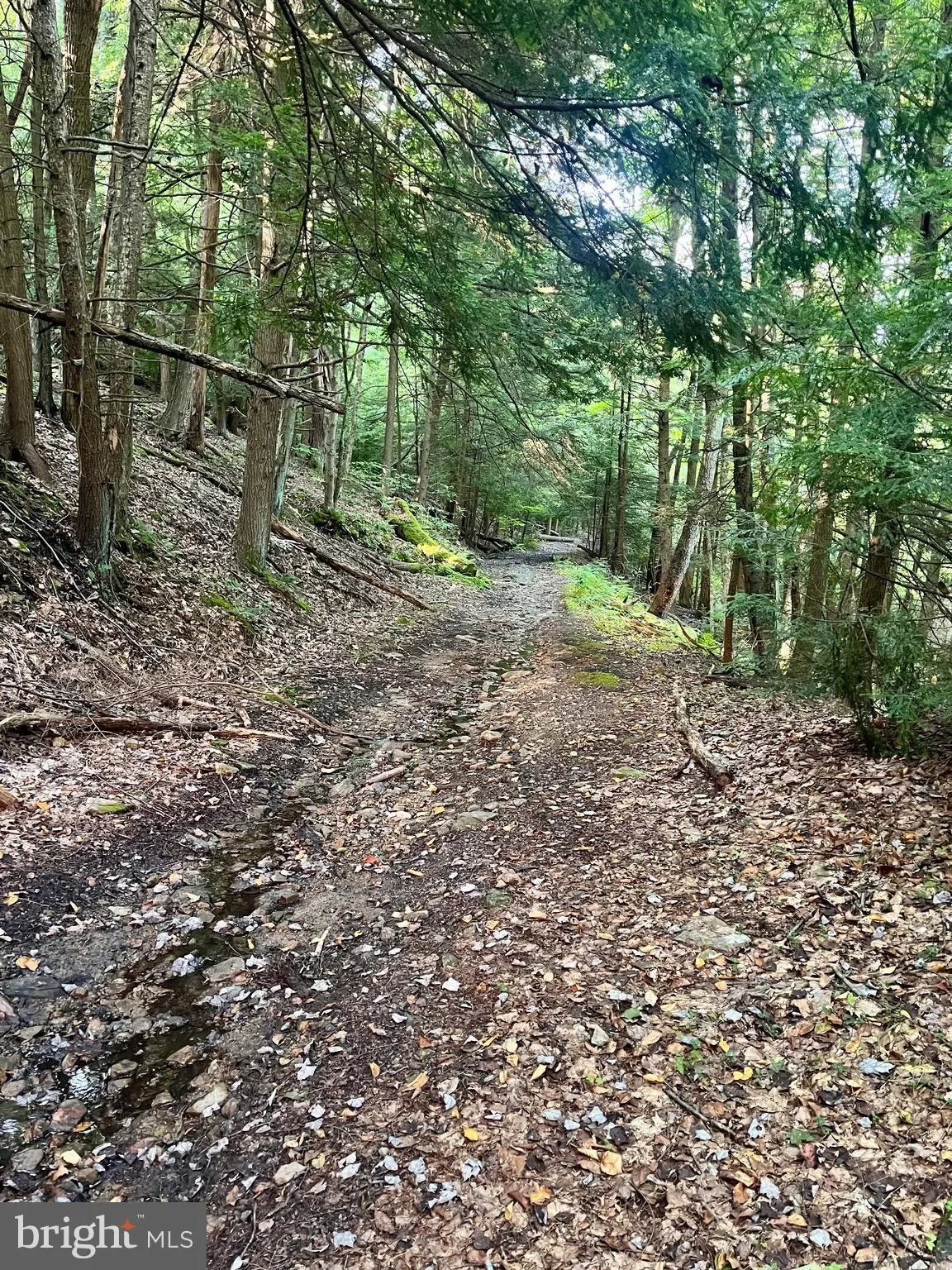 6 BEECH CREEK MOUNTAIN RD ROAD, BEECH CREEK, PA 16822, Monument, Pennsylvania, United States. - Photo 9