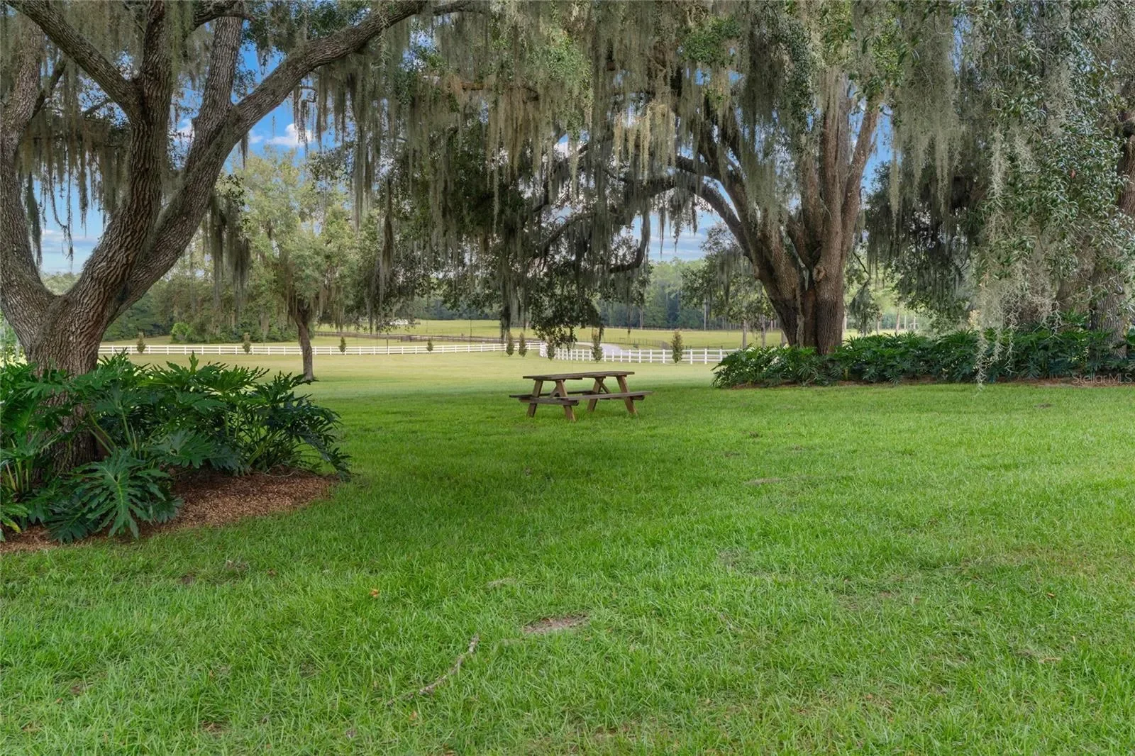 21679 SW 106TH LANE ROAD, Dunnellon, Florida, United States. - Photo 36