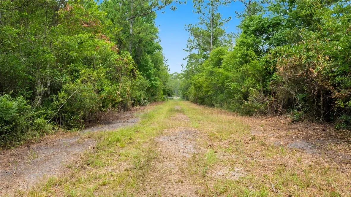1 Coastal Estates Drive, Brunswick, GA 31525, Brunswick, Georgia, United States. - Photo 6