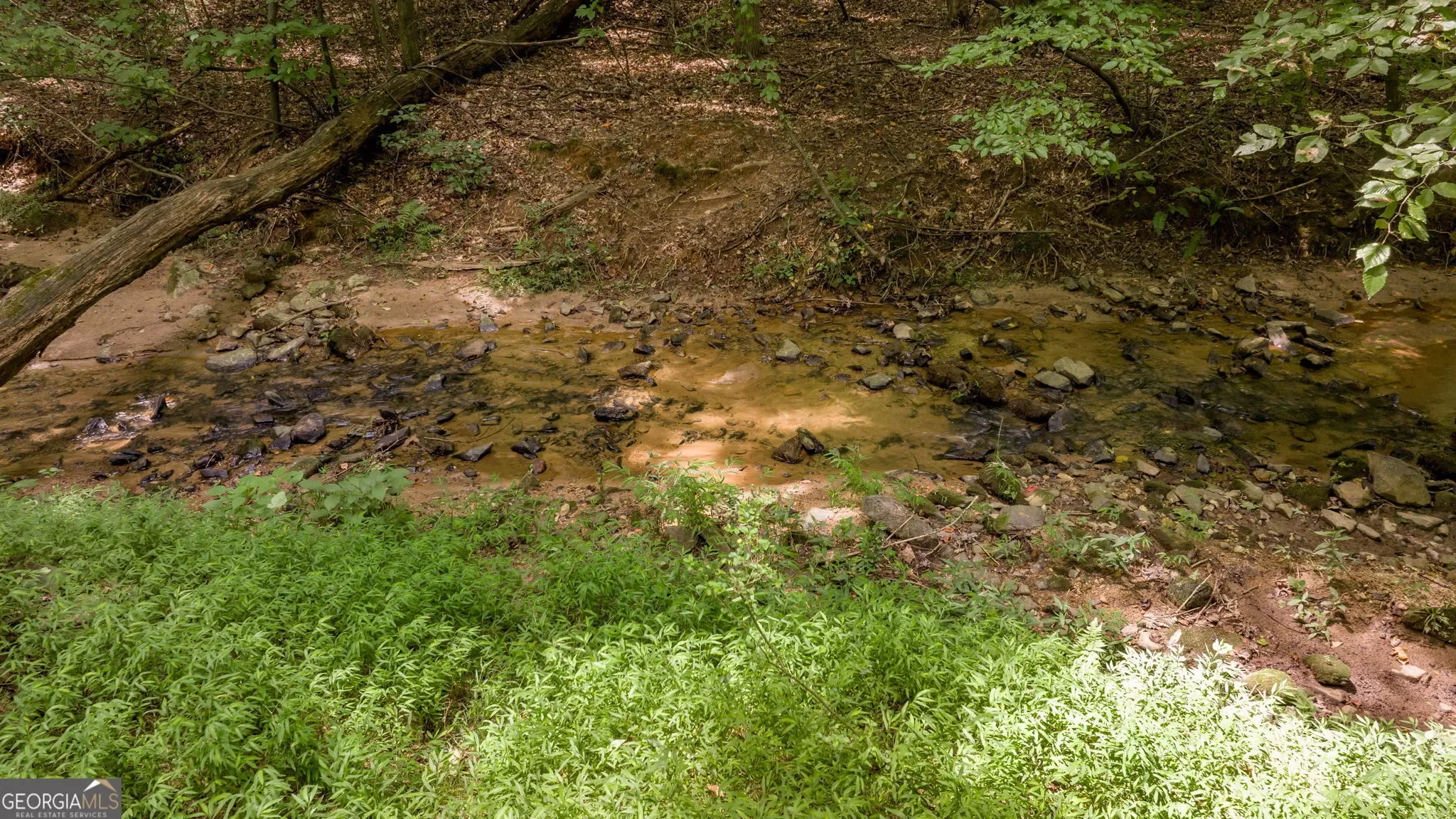 Lula, Georgia, United States. - Photo 73