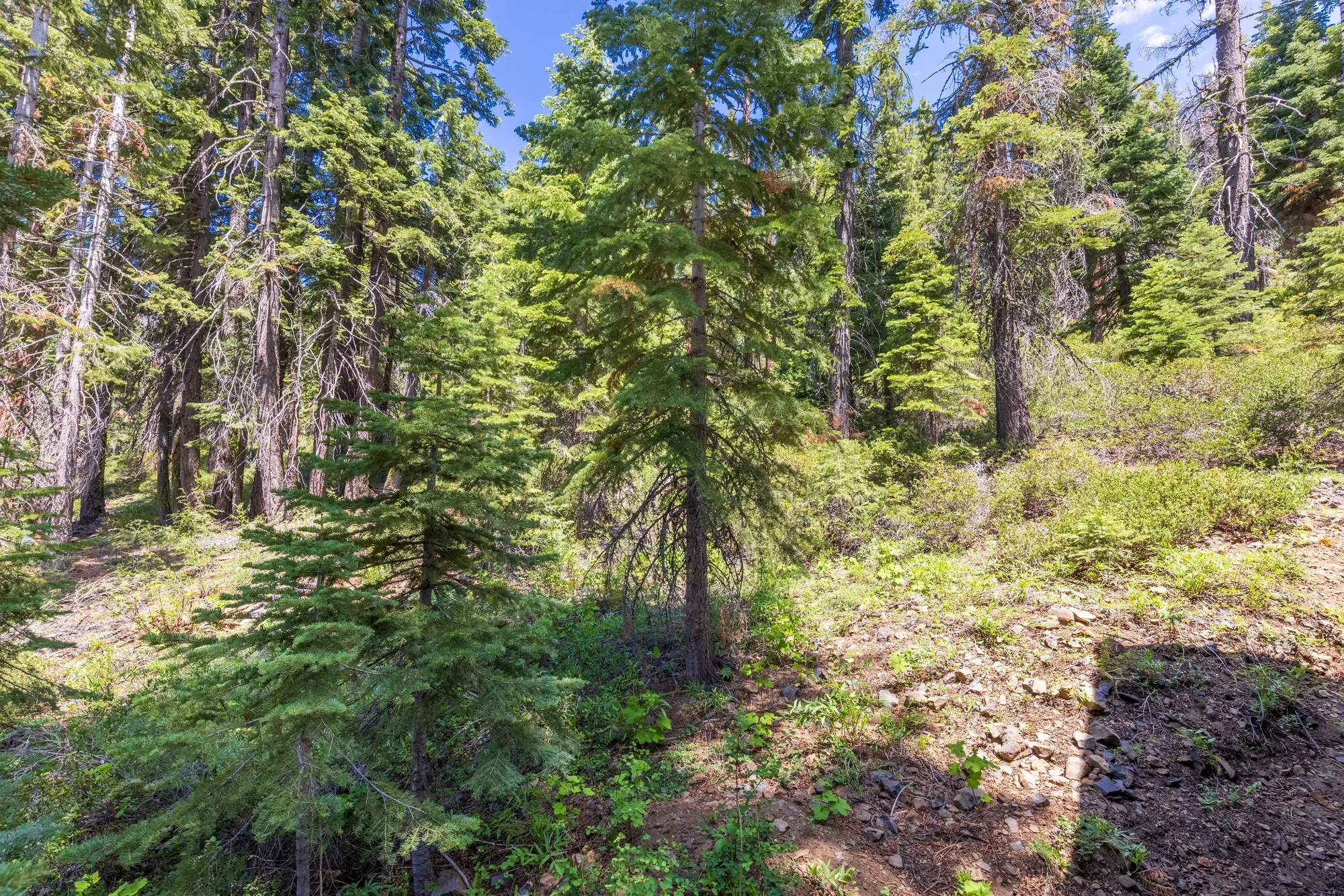 358 Twin Crags Rd., Tahoe City, CA 96145, Olympic Valley, California, United States. - Photo 18