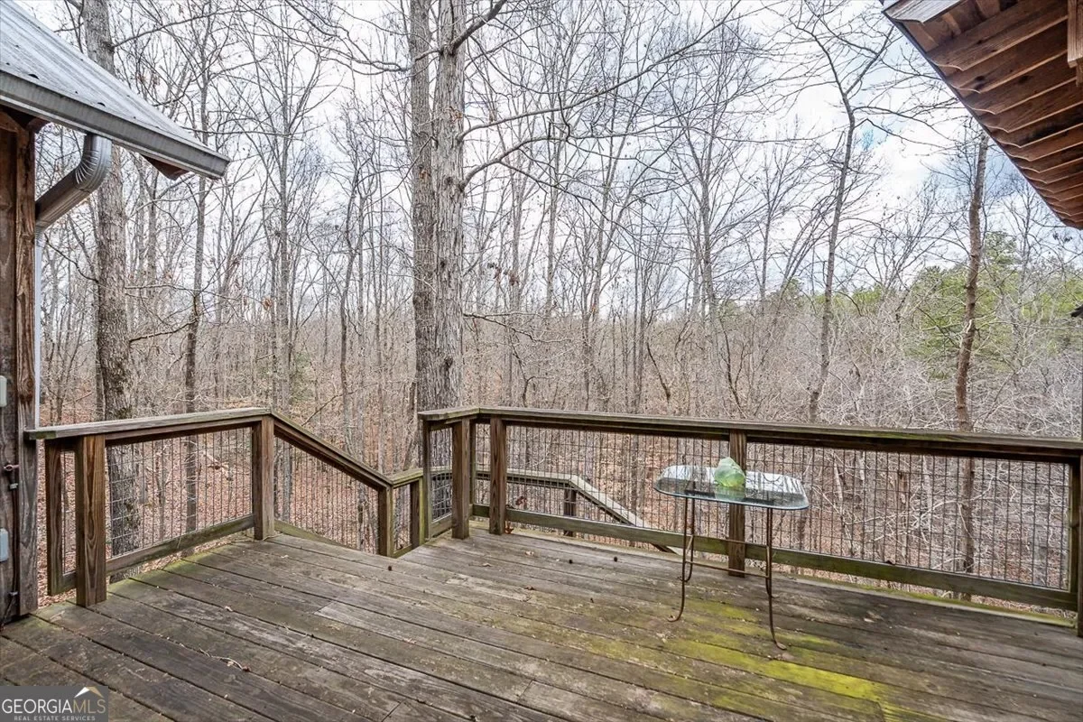 Bowman, Georgia, United States. - Photo 43