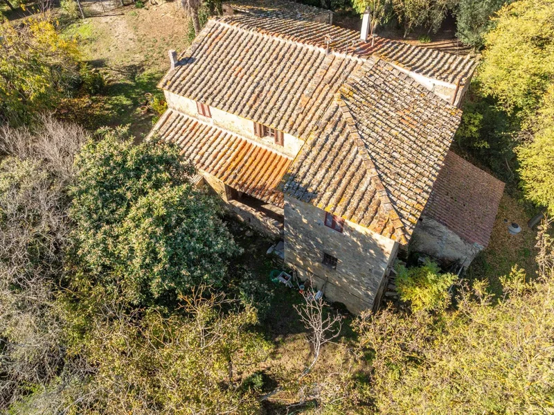 Loalità Canonica, Montefalconi, Tuscany, Italy. - Photo 6
