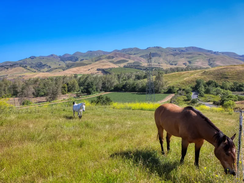 750 Avenida Alcola , Arroyo Grande, CA 93420, Arroyo Grande, California, United States. - Photo 3