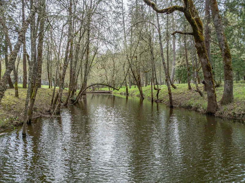 503 Quail, Grants Pass, OR, 97526, USA, Grants Pass, Oregon, United States. - Photo 75
