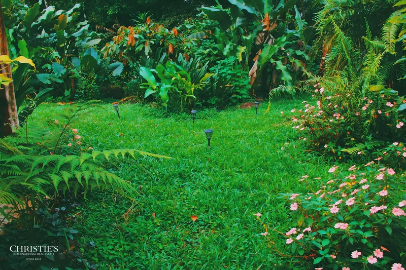 Aguas Zarcas, Aguas Zarcas, Alajuela Province, Costa Rica. - Photo 15
