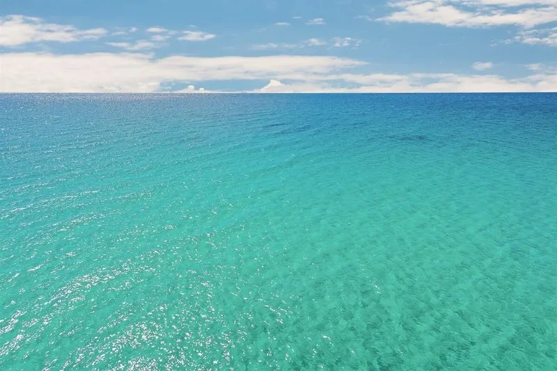 Destin, Florida, United States. - Photo 70