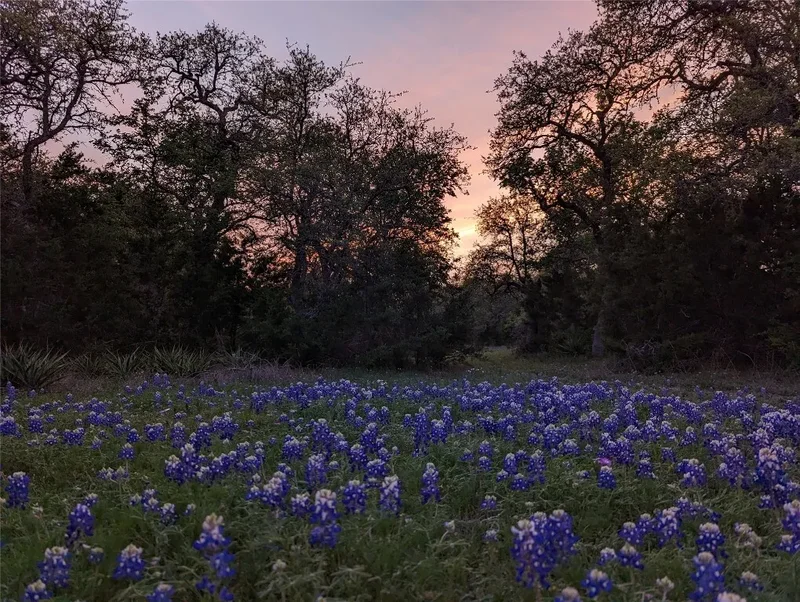 1751 County Road 255, Georgetown, TX 78633, Georgetown, Texas, United States. - Photo 16