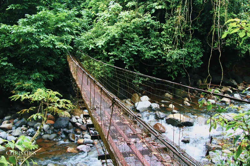 Aguas Zarcas, Aguas Zarcas, Alajuela Province, Costa Rica. - Photo 12