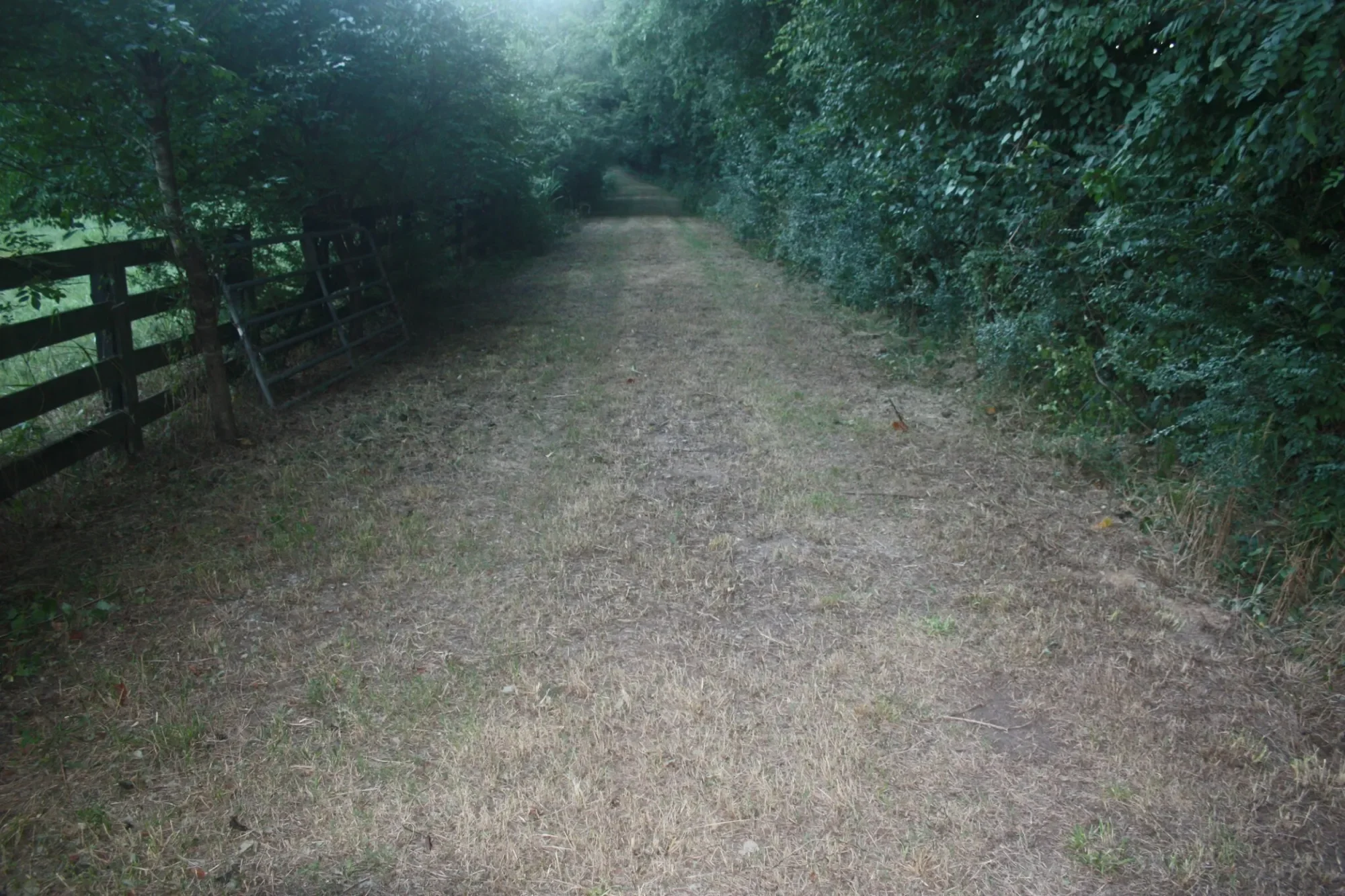 Gallery photo 7
