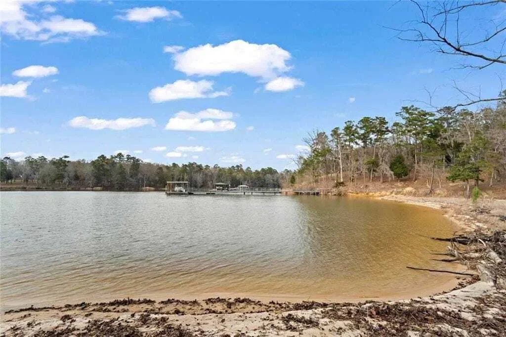 250 Moore Meadow Drive, Georgetown, Georgia, United States. - Photo 45
