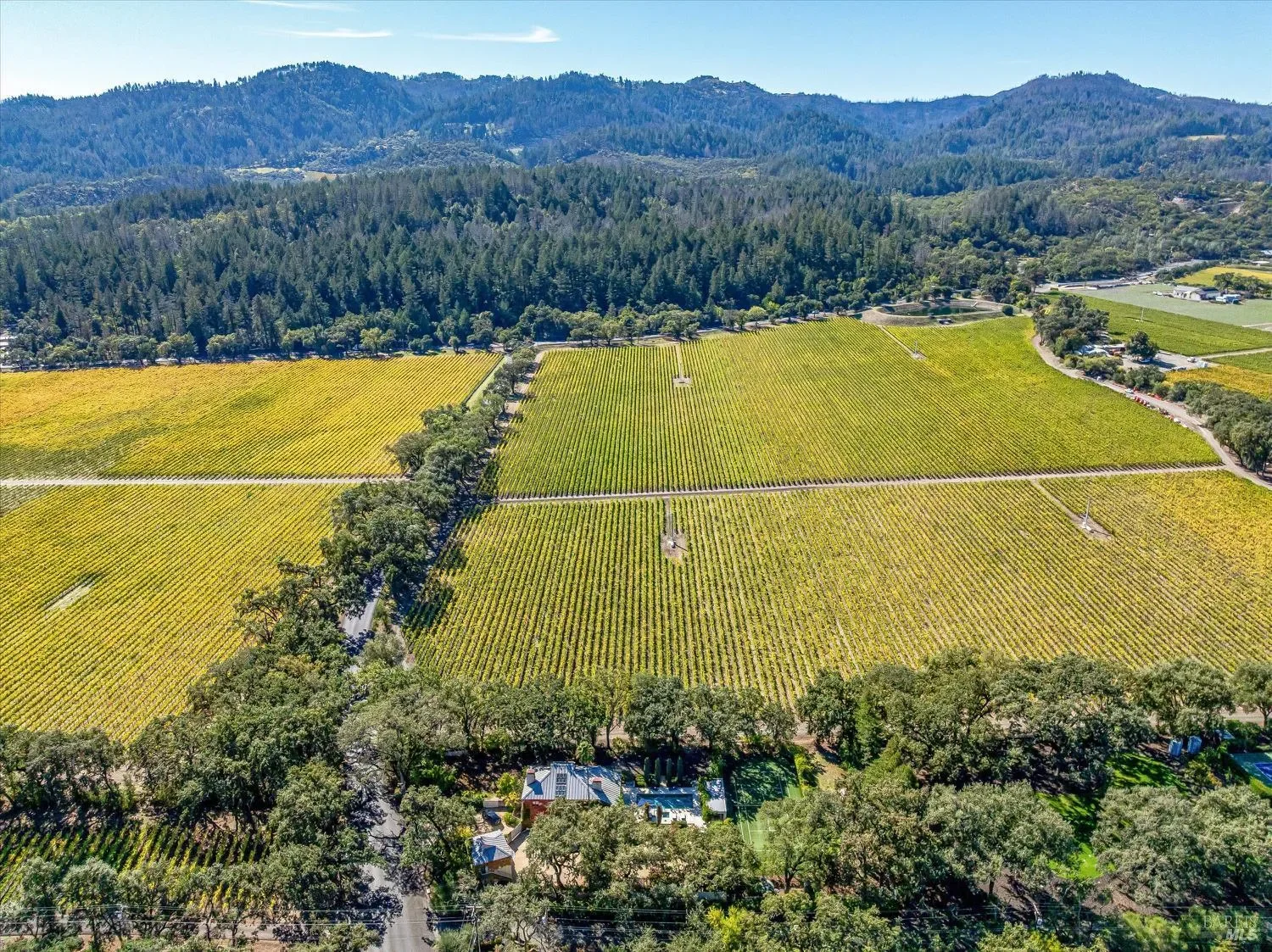 1110 Bale Lane, Calistoga, California, United States. - Photo 59
