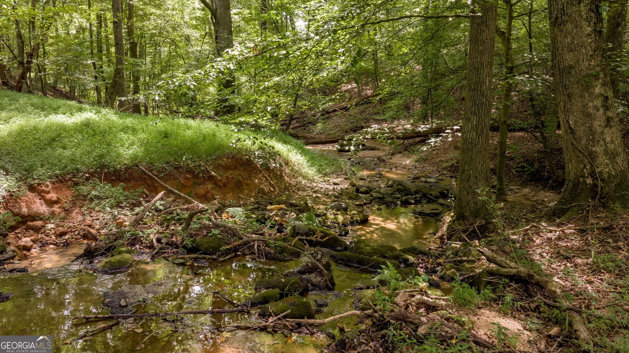 Lula, Georgia, United States. - Photo 71