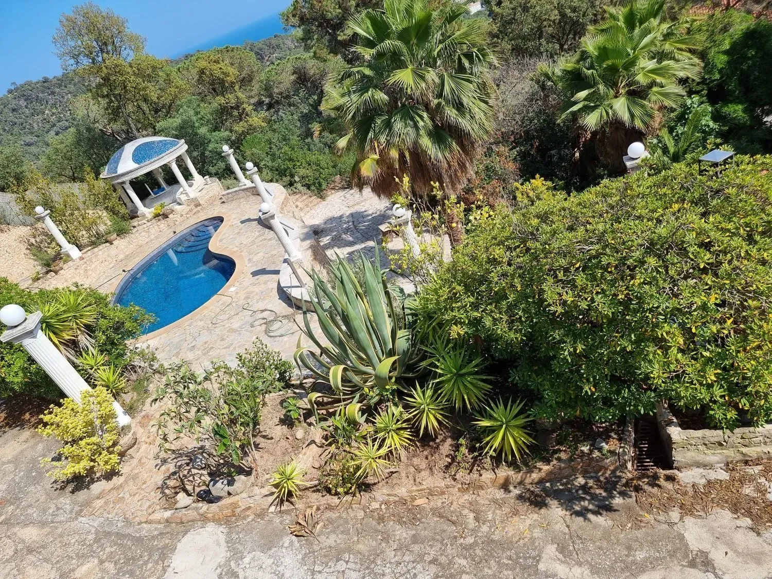 Serra Brava, Lloret de Mar, GIRONA, Lloret de Mar, Lloret de Mar, Catalonia, Spain. - Photo 15