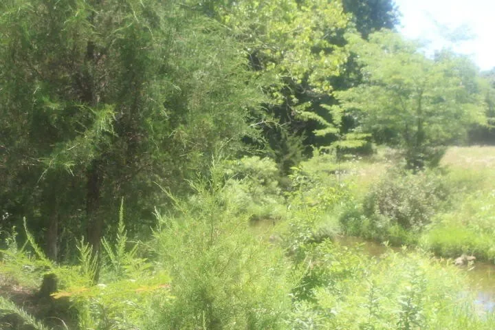 Gallery photo 10