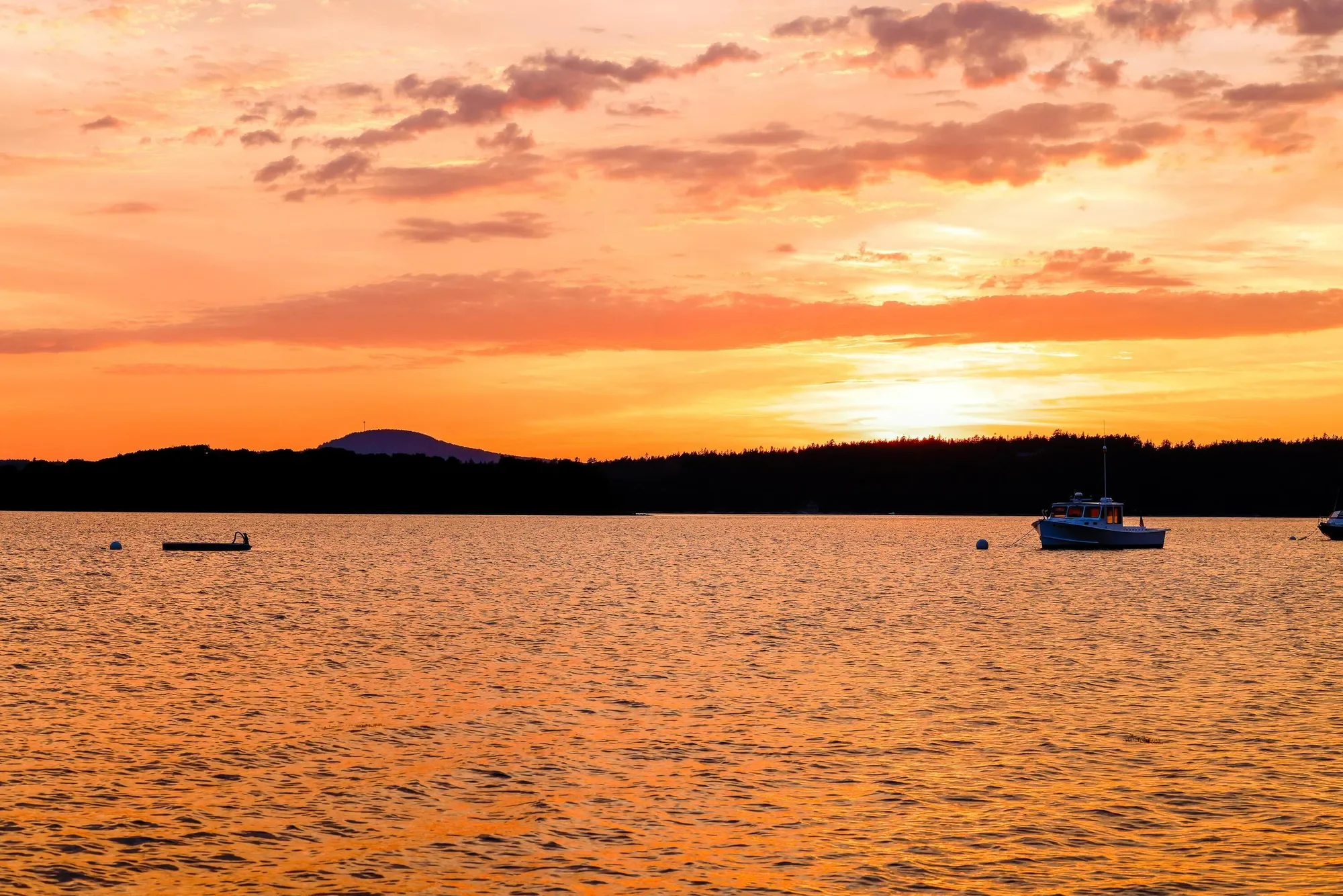 1513 Newbury Neck Road, Surry, ME 04684, Blue Hill, Maine, United States. - Photo 8