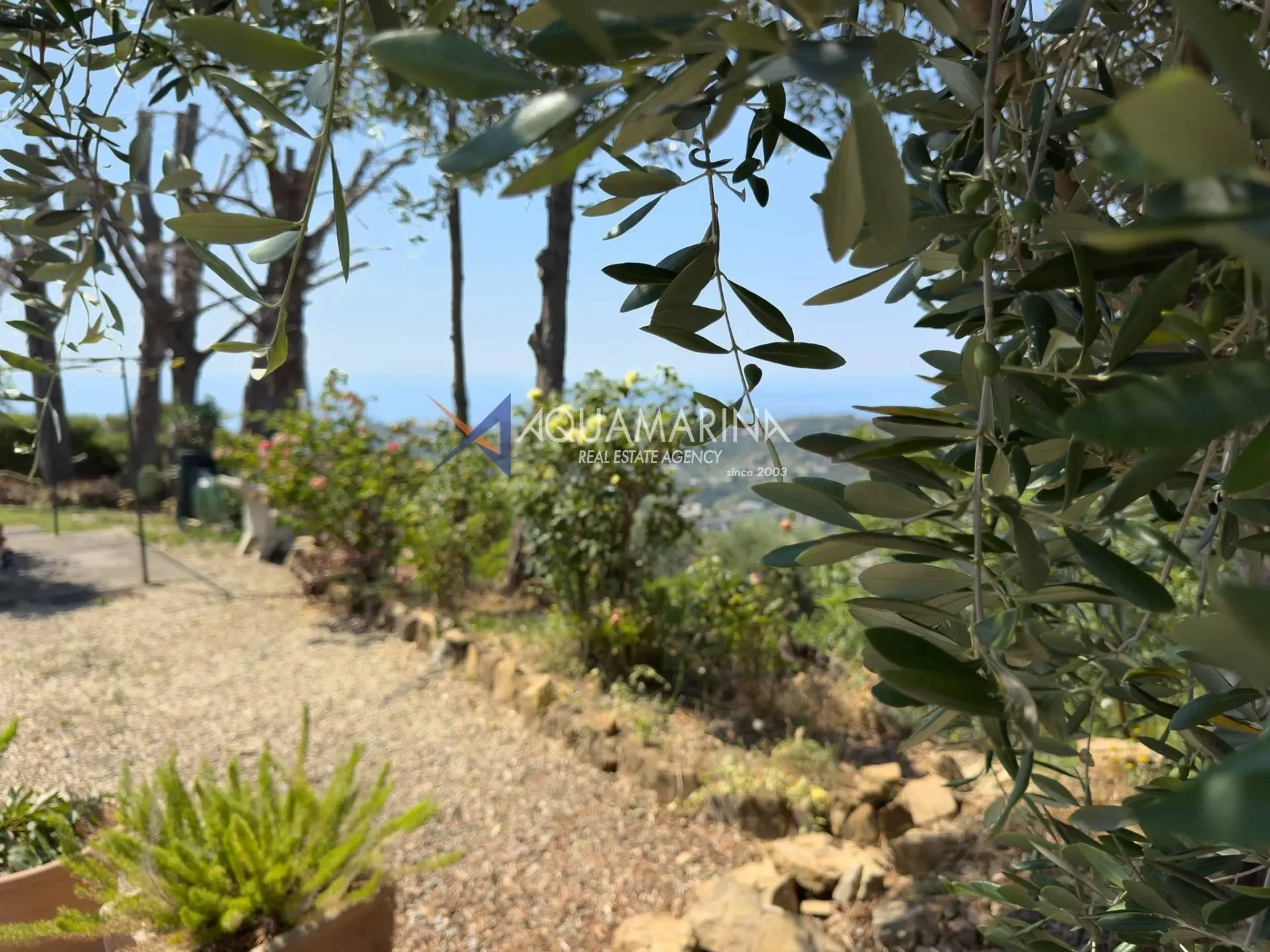 Sanremo, Liguria, Italy. - Photo 11