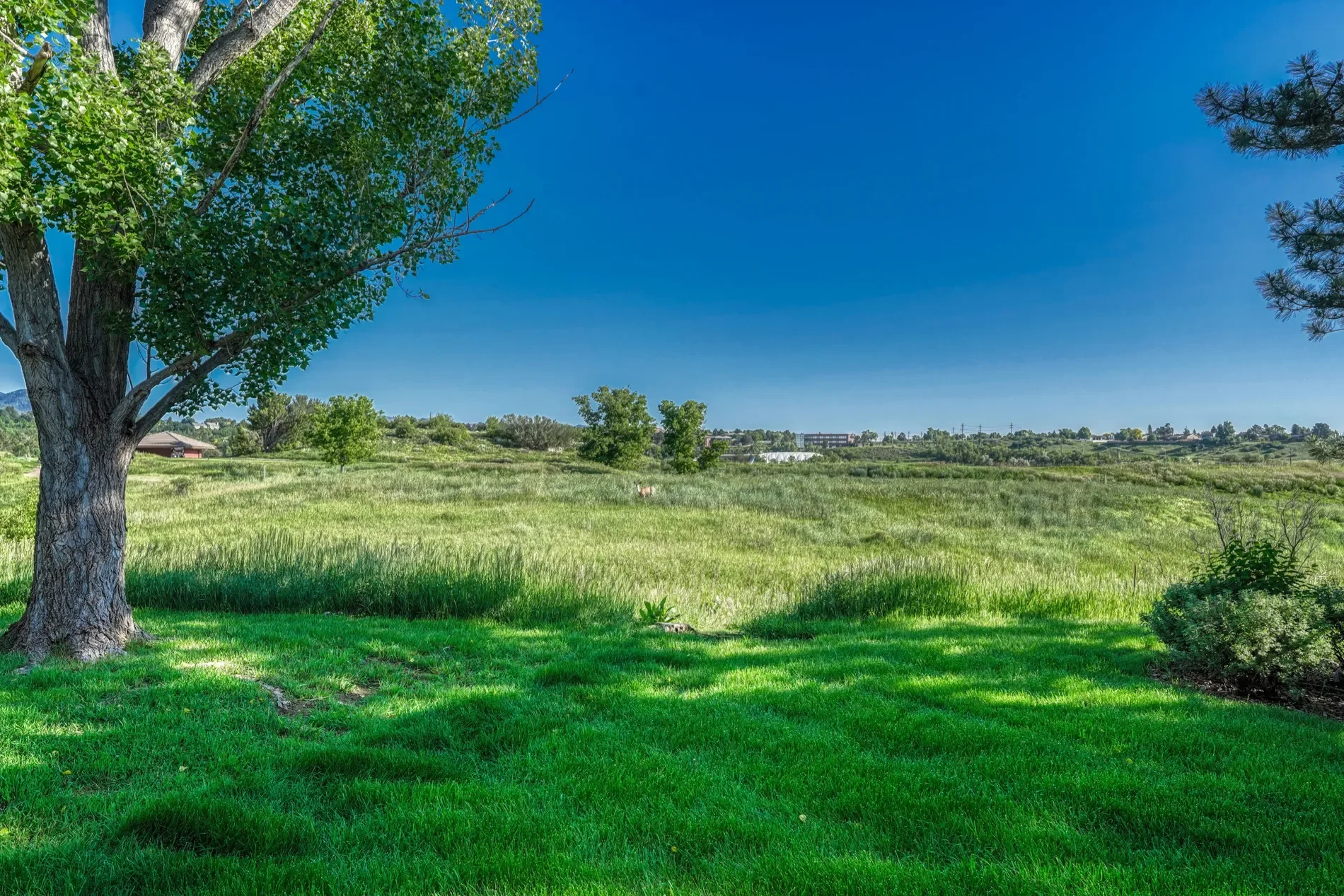 262 Cobblestone Drive Unit# 81, Colorado Springs, CO 80906, Colorado Springs, Colorado, United States. - Photo 4