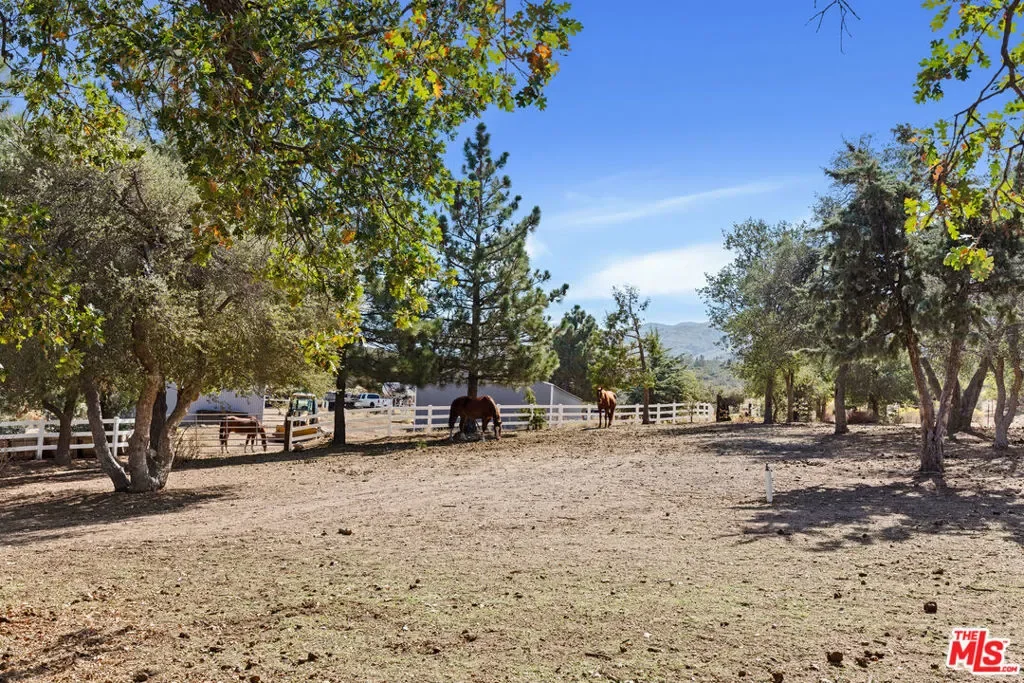 28765 Pine Canyon Road, Lake Hughes, California, United States. - Photo 12