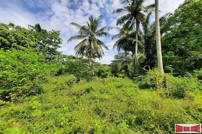 Krabi,, Nong Thale, Krabi, Thailand. - Photo 2