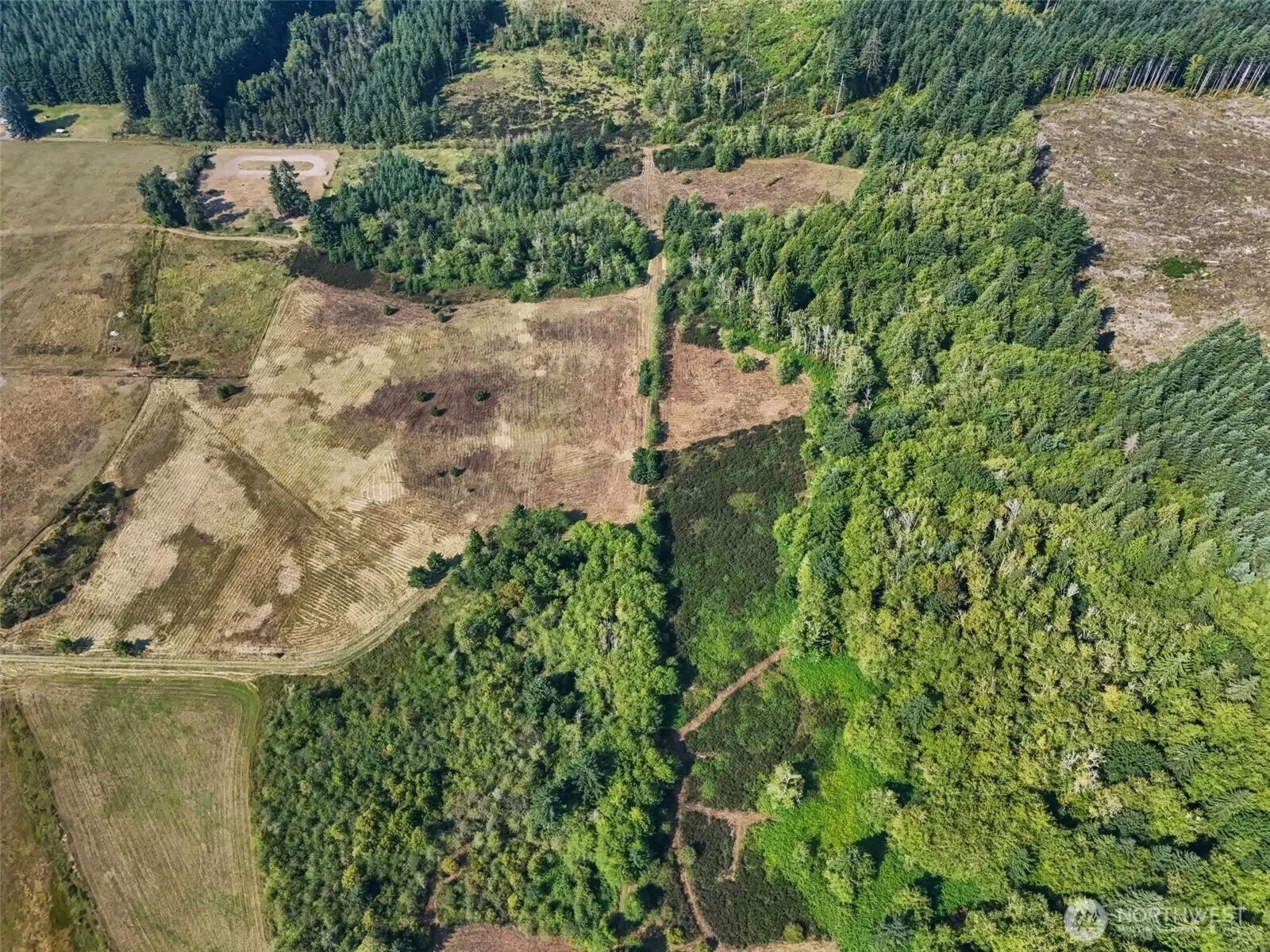 104 Bills Lane, Onalaska, WA 98570, Onalaska, Washington, United States. - Photo 30