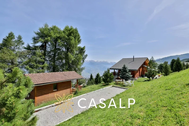 Nendaz, Valais, Switzerland. - Photo 14