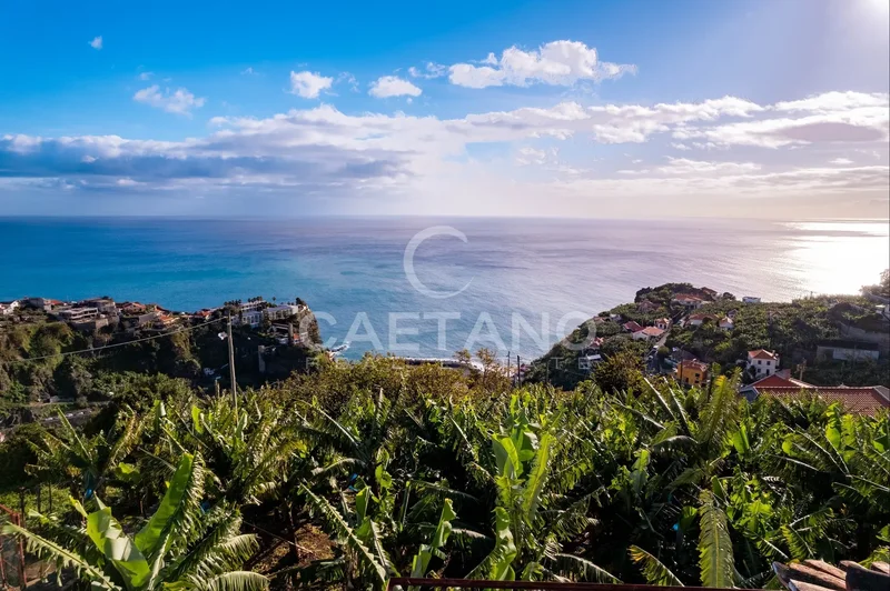 Ponta do Sol, Madeira, Portugal. - Photo 16