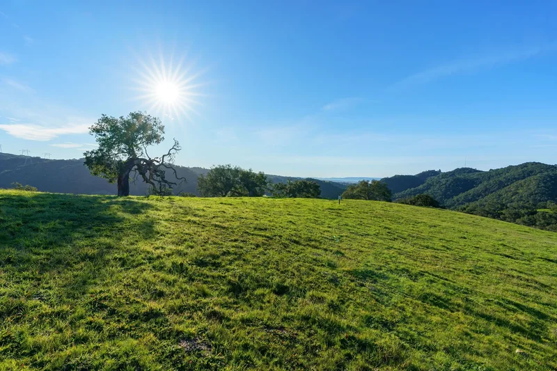 518 Bella Terra Court , San Luis Obispo, CA 93401, Pismo Beach, California, United States. - Photo 11