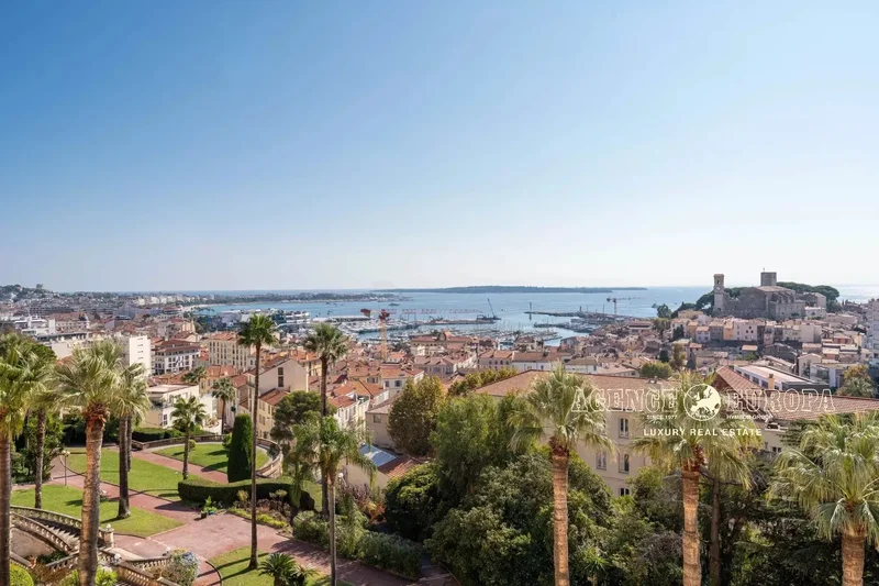 Cannes, Provence-Alpes-Côte d'Azur, France. - Photo 6