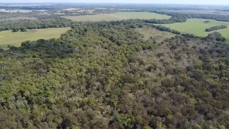 Tbd SW CR 3160, Dawson, TX 76639, Hubbard, Texas, United States. - Photo 16
