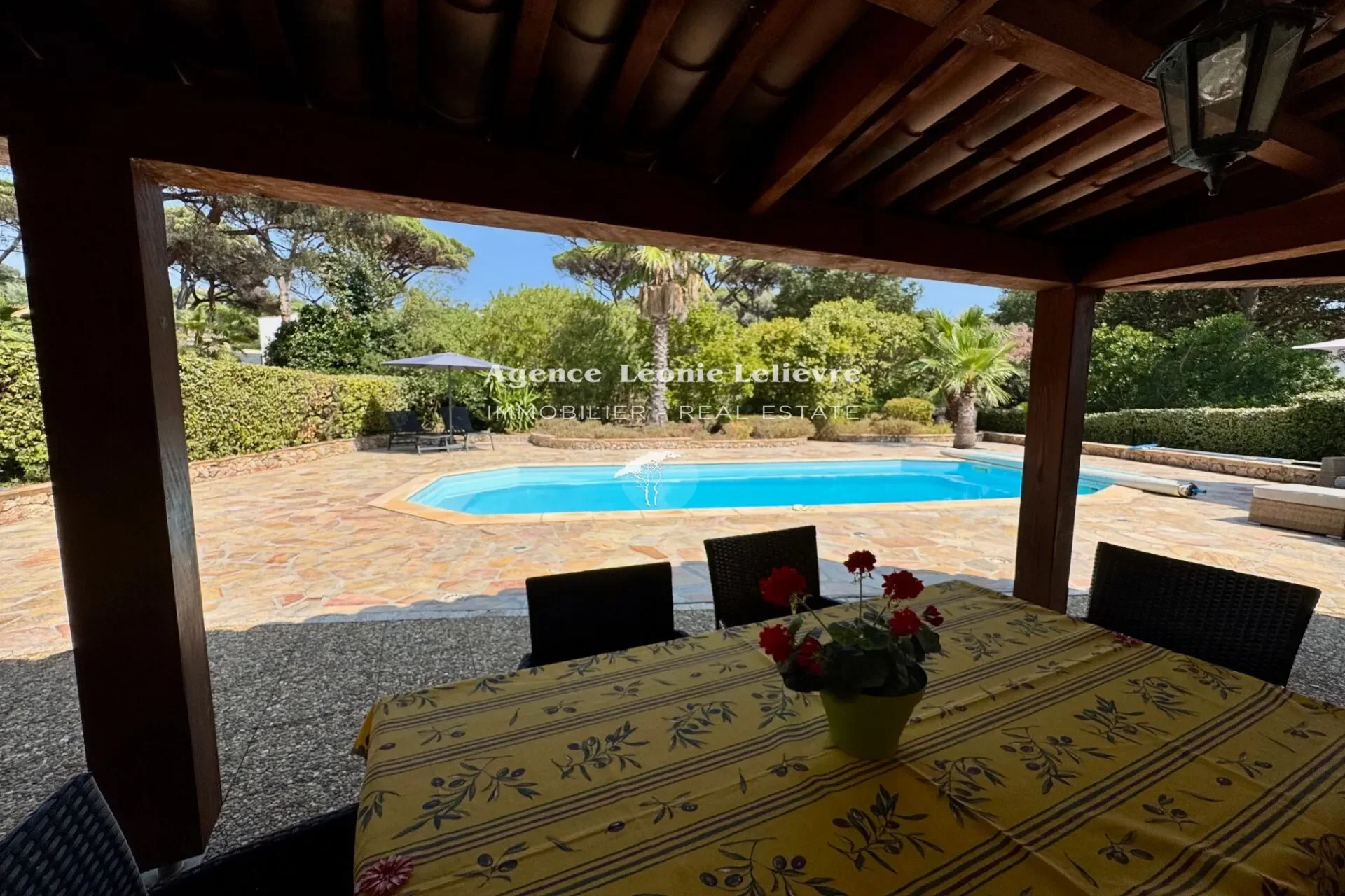 Roquebrune-sur-Argens, Provence-Alpes-Côte d'Azur, France. - Photo 7