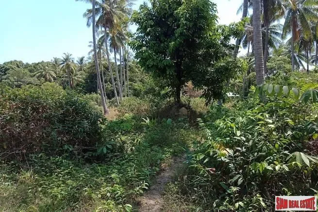 Phang Nga,, Ko Yao Yai, Phang-nga, Thailand. - Photo 4