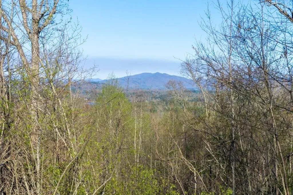 41AC Loving Road, Blairsville, Georgia, United States. - Photo 8